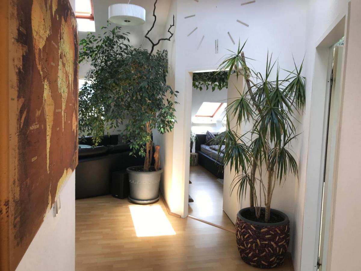 Stadtdschungel Fewo Mit Balkon Cottbus Dış mekan fotoğraf